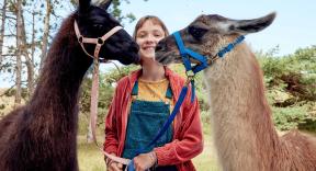 My Life as Lotta - Okey Dokey Alpaca!